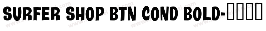 Surfer Shop BTN Cond Bold字体转换